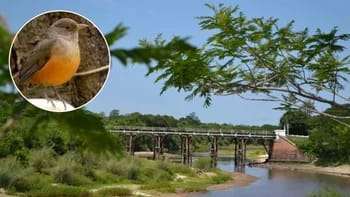 Salida de ecoturismo en Riachuelo